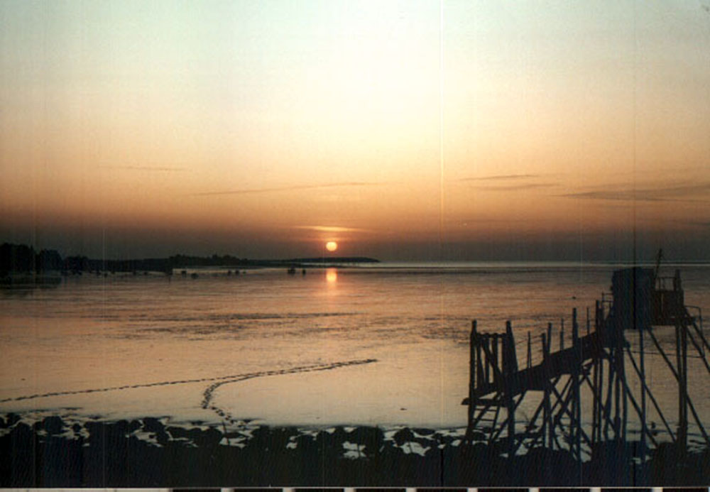 couchersoleil.JPG (91847 octets)